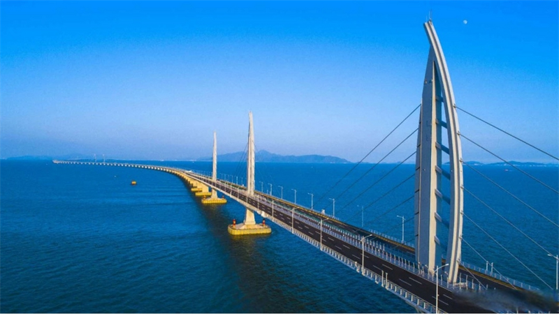 2024061314386995.png 1.png