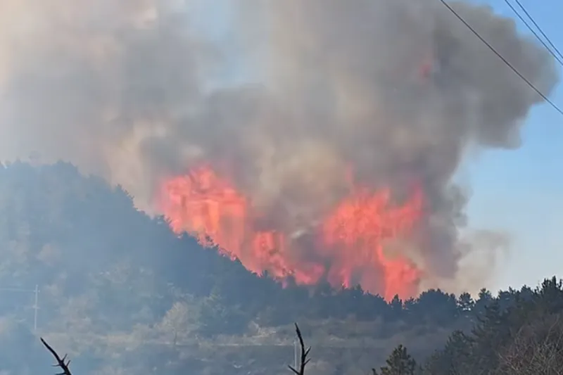 2025041860130269.png 1.png